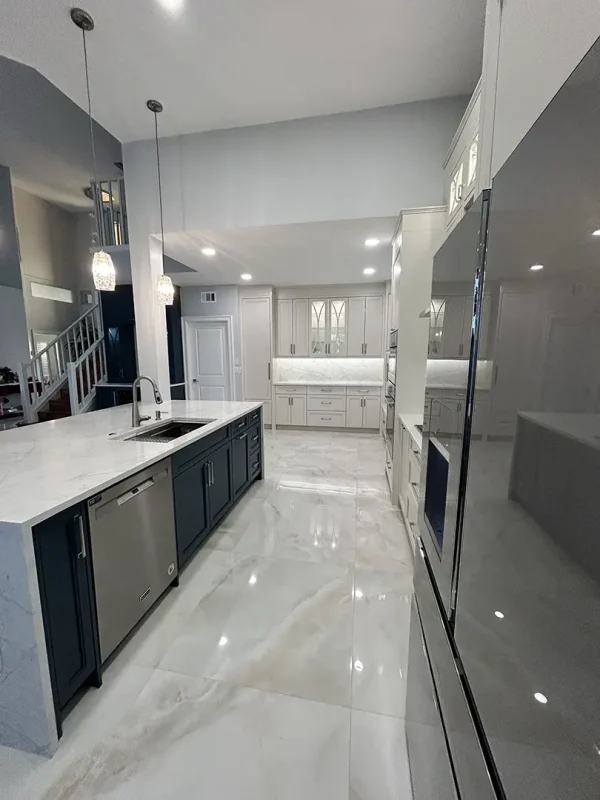 kitchen-renovation-stainless-steel-appliances_IMG_0693